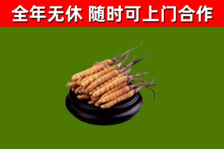 嘉禾县烟酒回收冬虫夏草.jpg